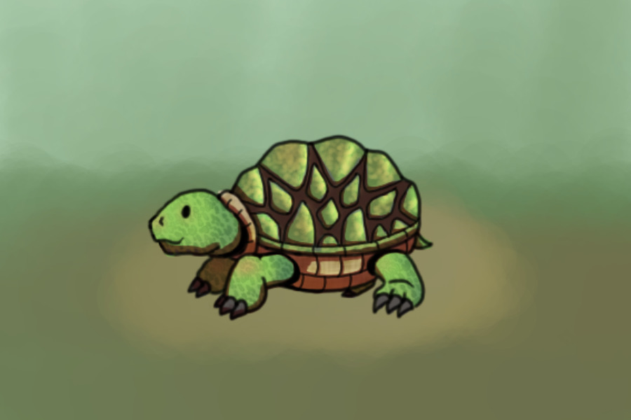 Tortoise colored