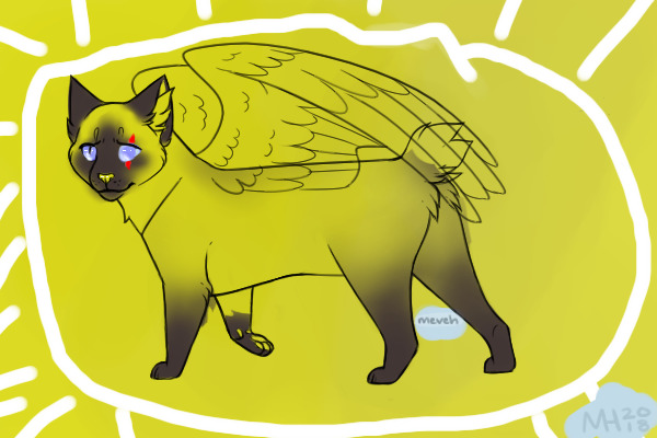 Smokey my cat, Lives in starclan :[