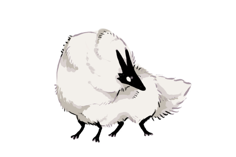 puff