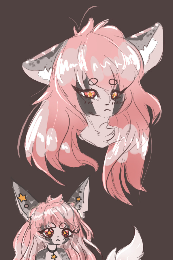 colored headshot for sleepyDandy