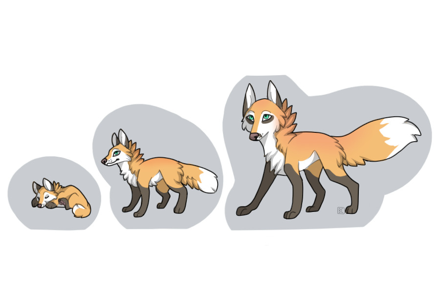 Fox growth base