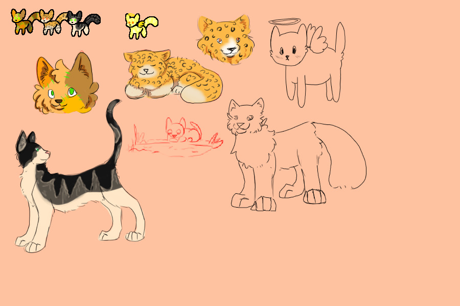 WIP kitty doodles