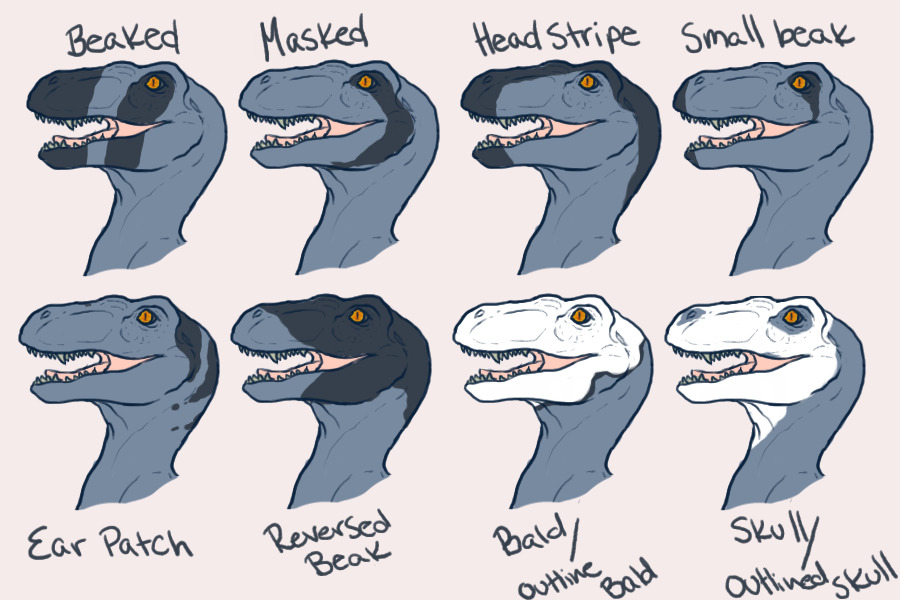 Raptor Island Head Patterns