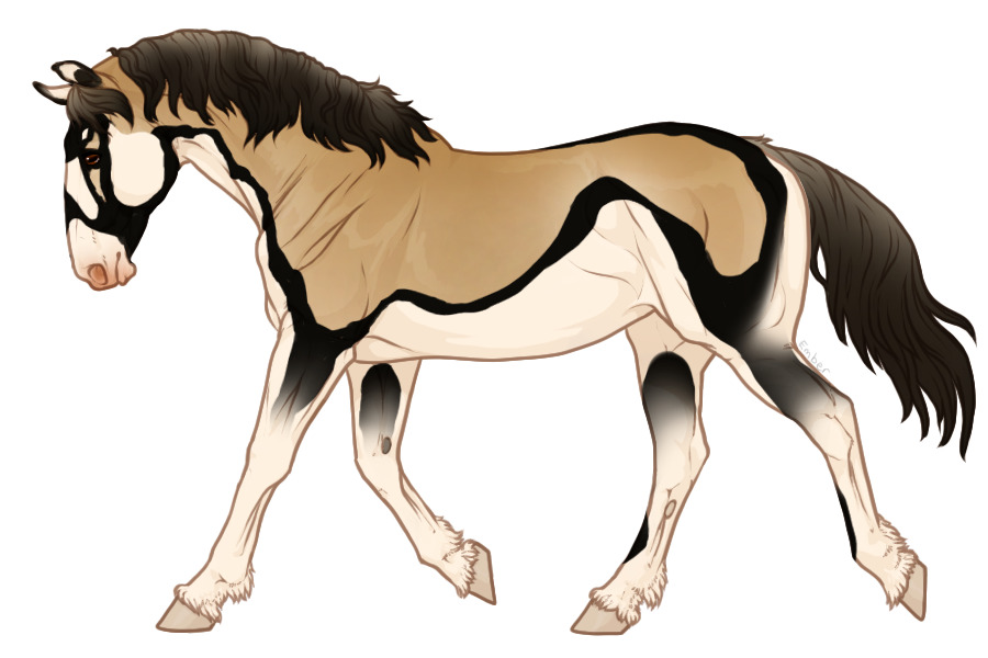 Range Trotter BE#028