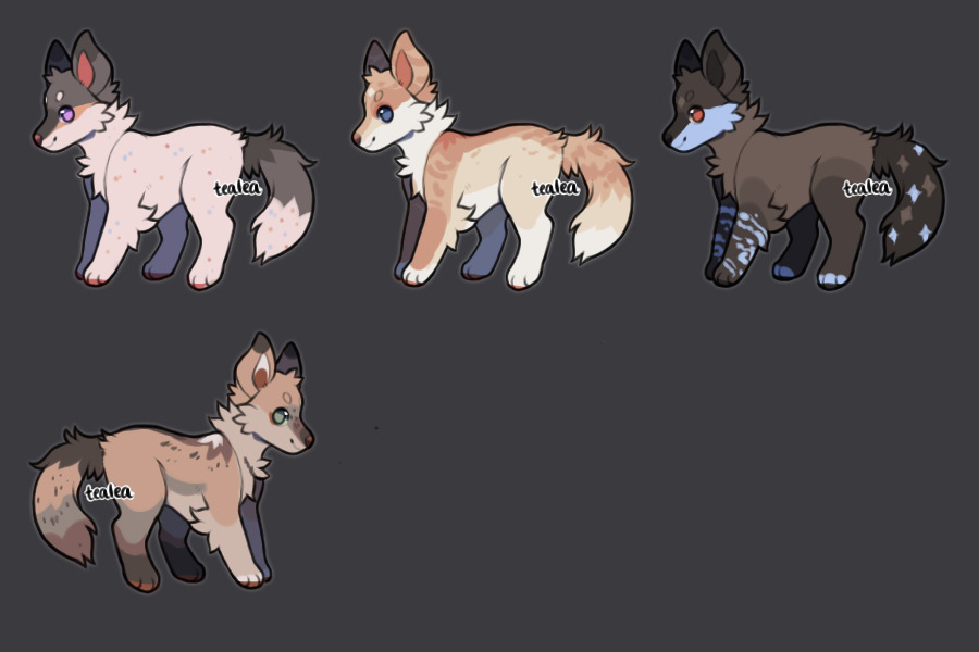 pups / CLOSED TY