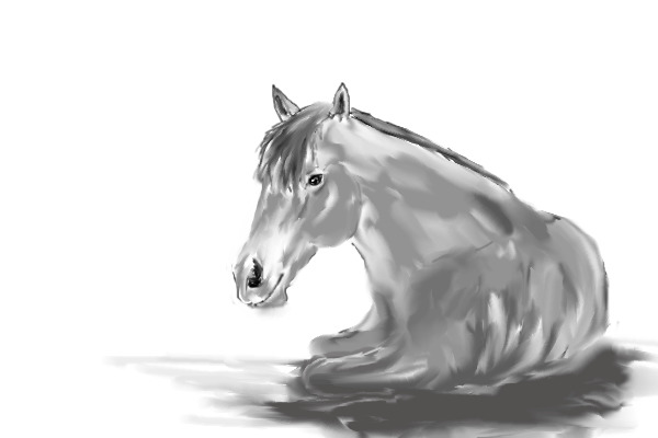 just a horse