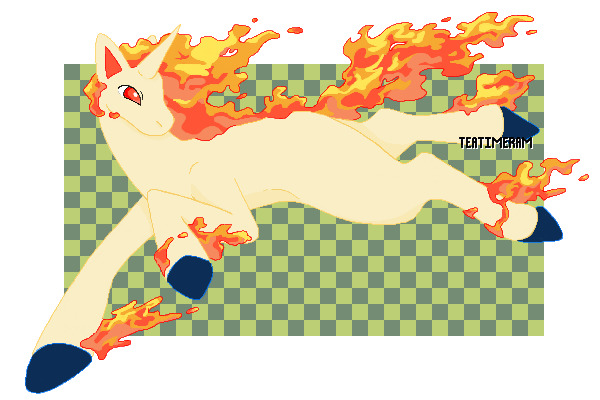 Rapidash!!