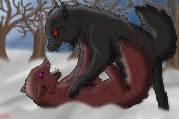 A Battle to the Death