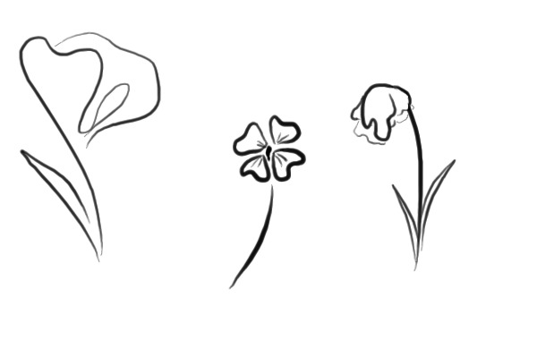 Line flowers