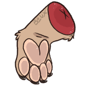 Terry paw