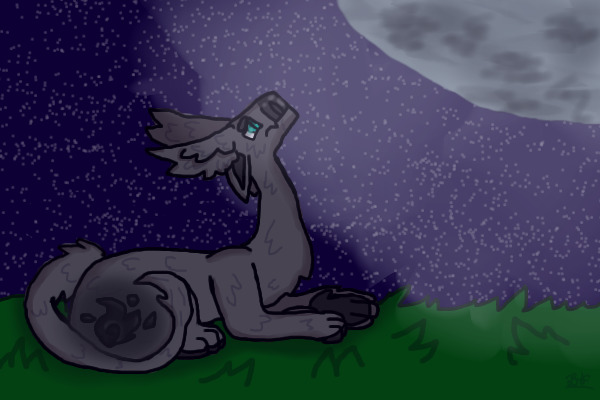 Staring at the moon|| Chicoon Giftlines