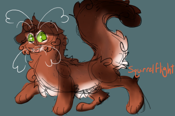 Squirrelflight doodle