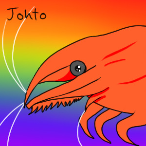 rainbow shrimp