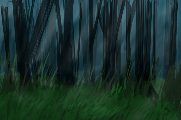 Dense forest