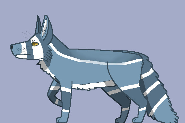 Blue Striped Fox