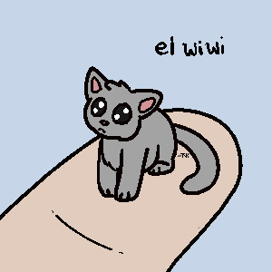 kat is el wiwi