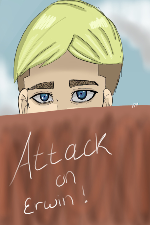 Attack on Erwin