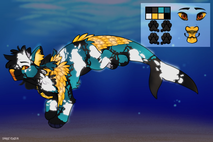 blue koi blue koi blue koi