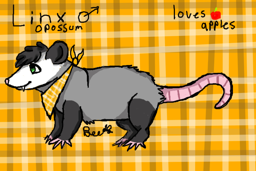 ART opossum sona.