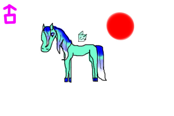 pound pony