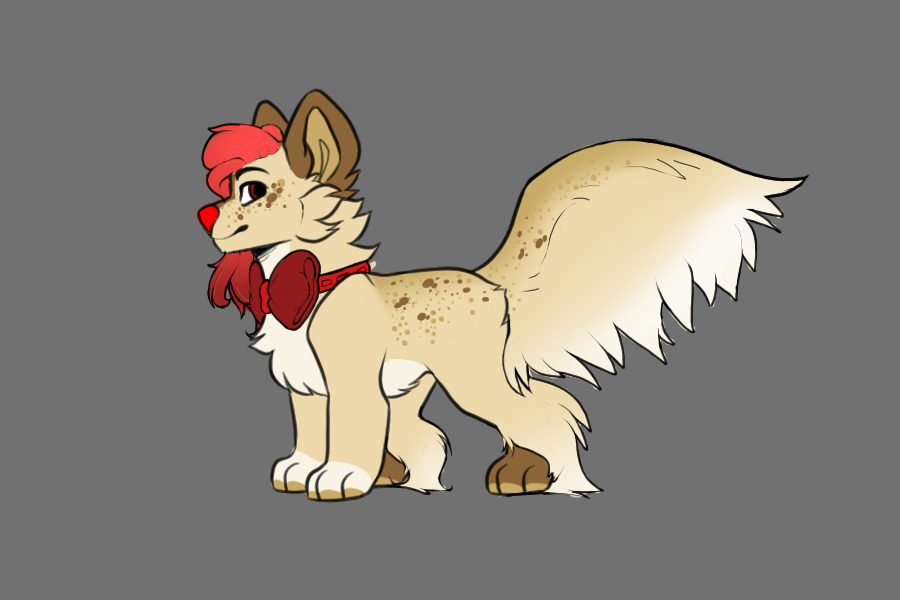 Red Bowtie Pup