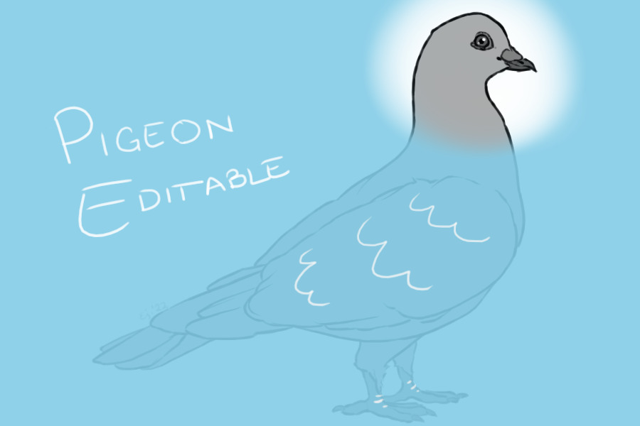 Pigeon Editable 2022