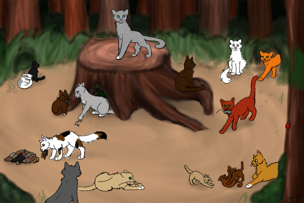 StormClan