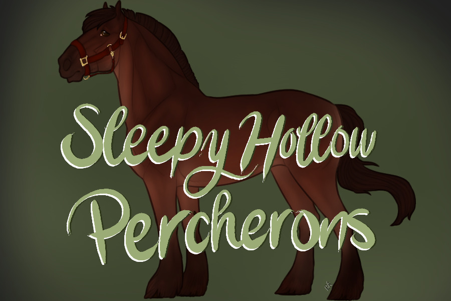 Sleepy Hollow Percherons
