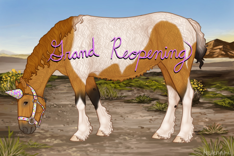 Lone Bashkir Curly V.3 | Grand Reopening Event!