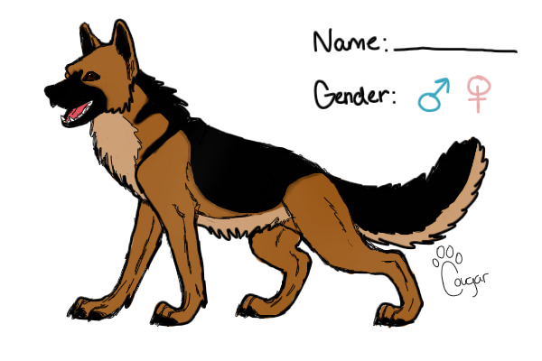 German Shepherd
