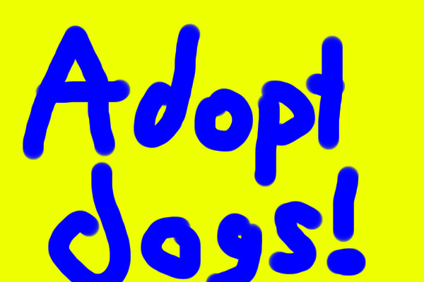 Adopt dogs