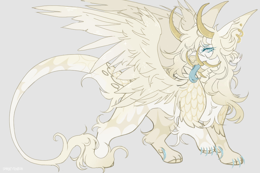 blank bg
