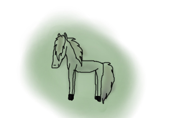 pound pony
