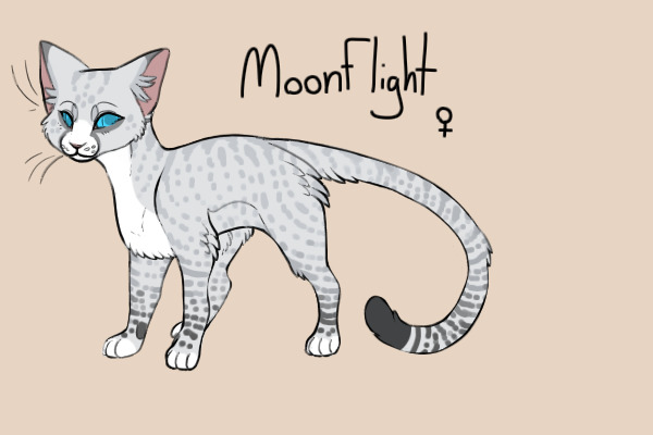 Moonflight Redesign