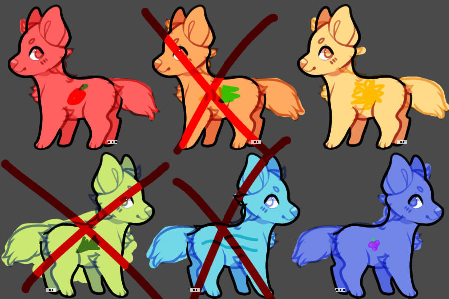 Adopts! 3 Available!