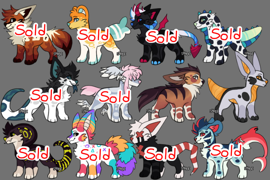 funky lad adopts