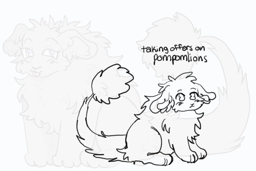 taking offers on pompomlions