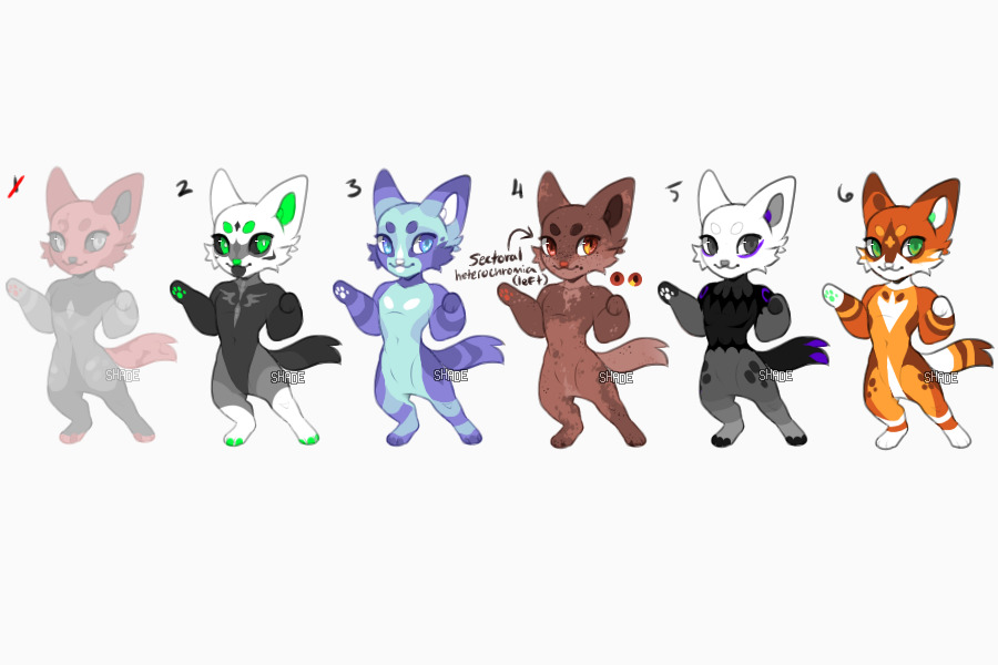 adopt flatsales [5/6 open]