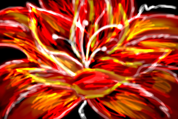Scribble lily