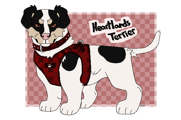 Heartlands Terriers
