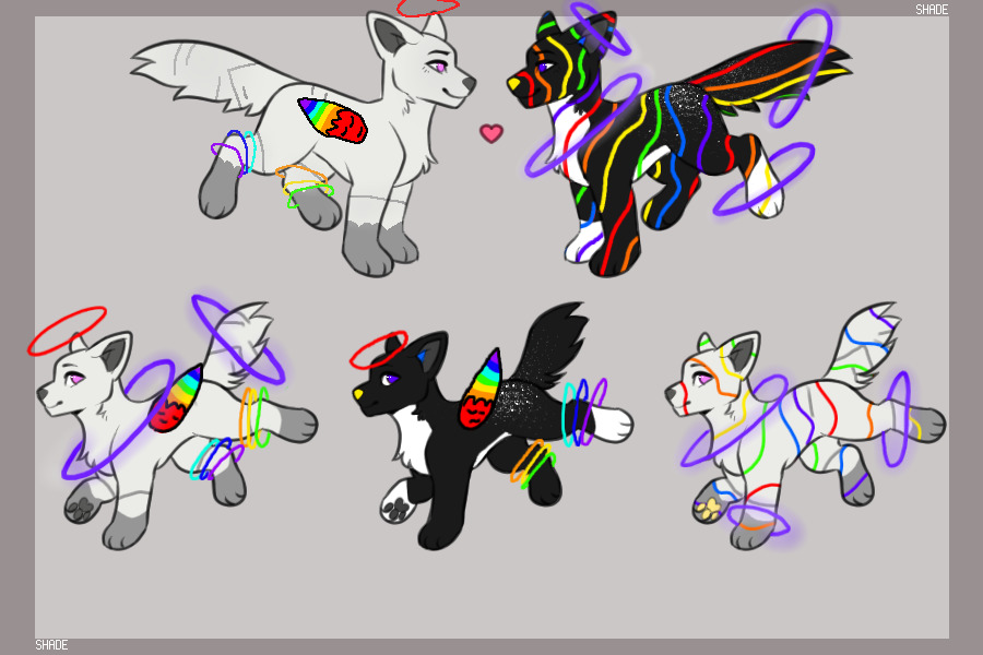 rainbow halo pups