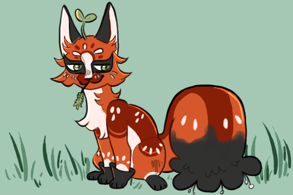 Heartcatch! MYO #077 | Nickit