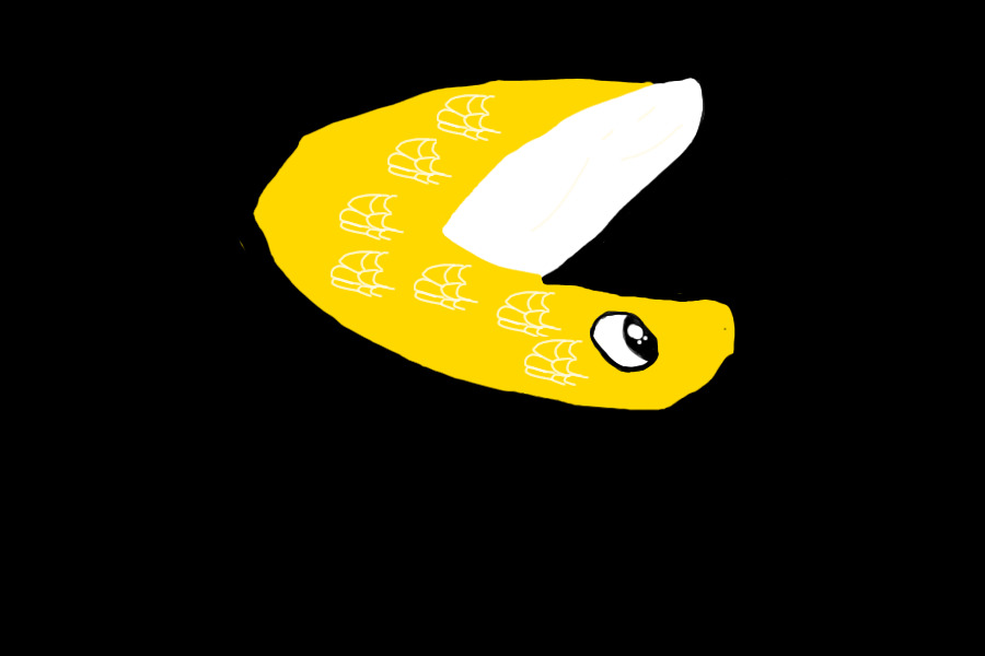 Banana Snake Adopt!