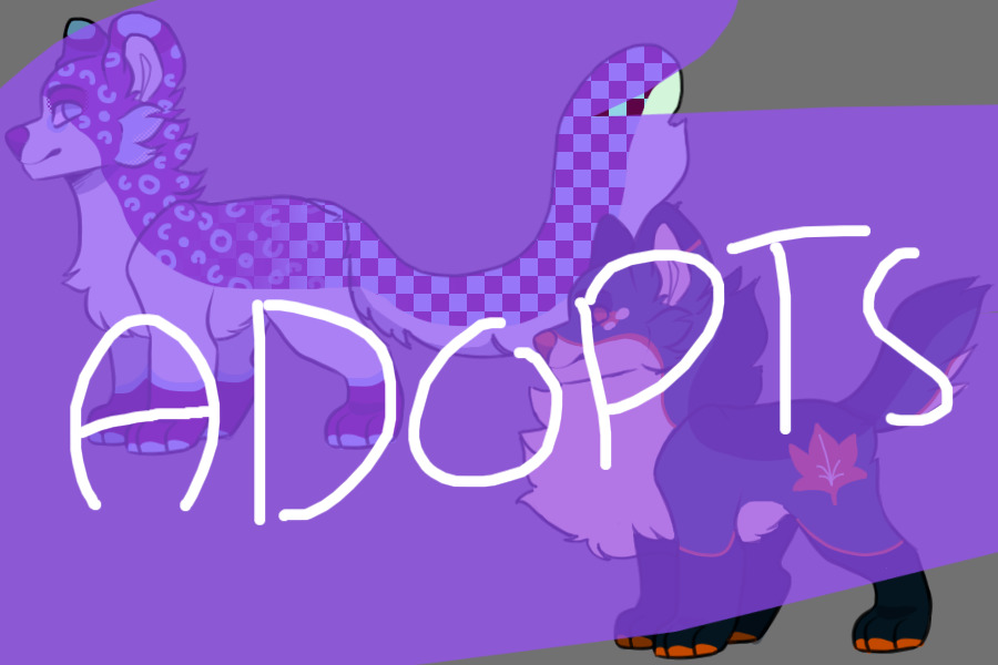 C$ CAT & DOG ADOPTABLES! [LOOK IN COLORED IN SECTION]