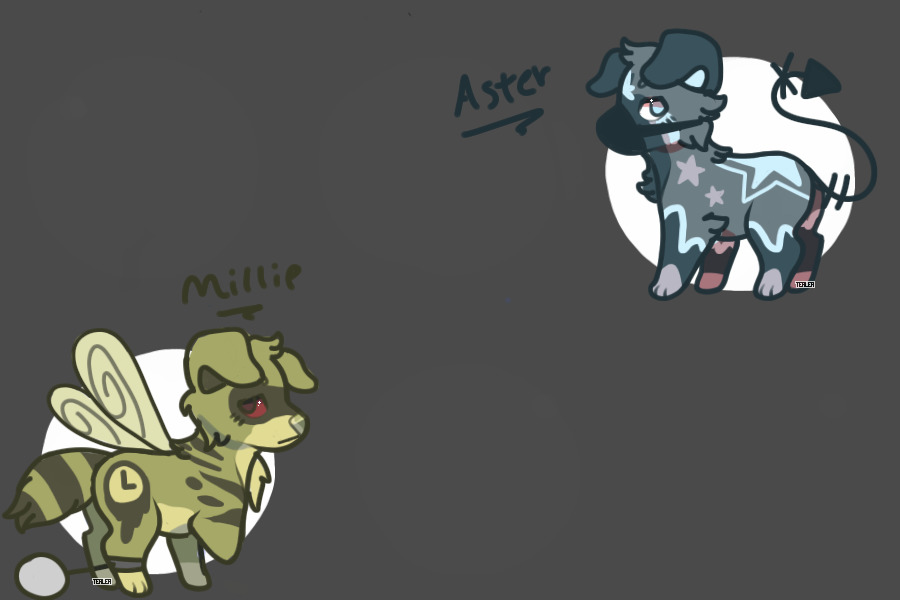 Millie and Aster ★