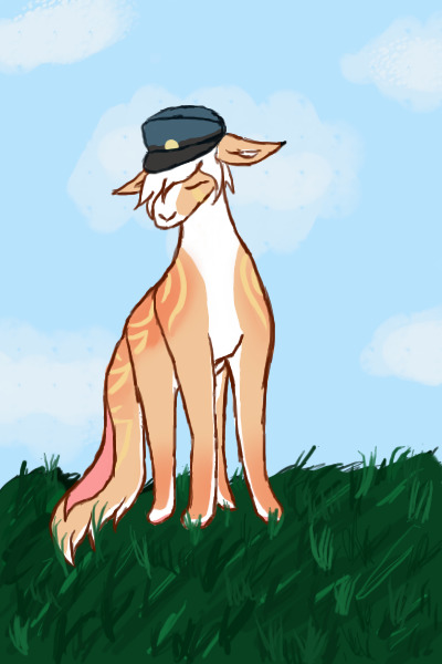 mostly a tablet test