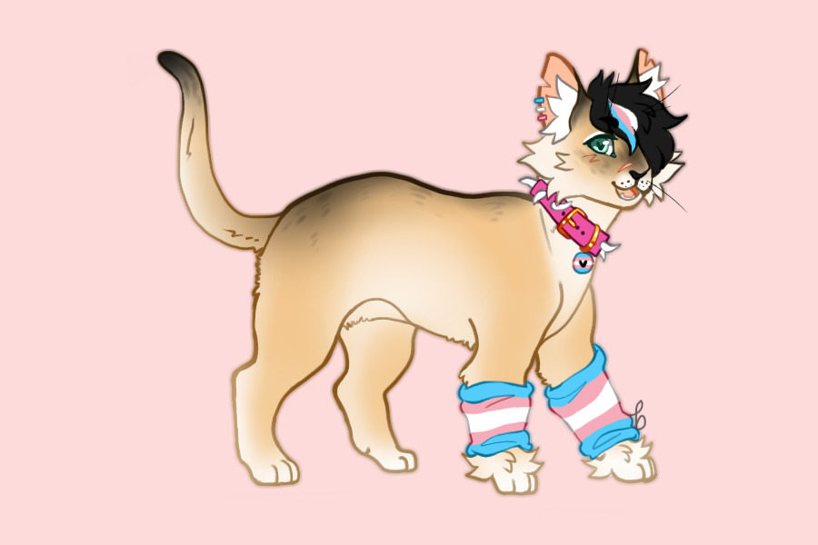 sweathie's pride cat / MYO3#075