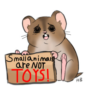 Small animals are NOT TOYS!