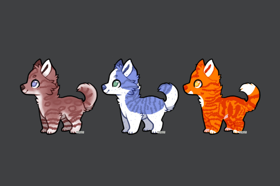 Colorful Cat-dogs! (0/3)
