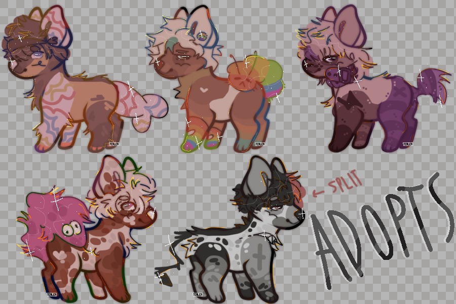 ONE ADOPT LEFT ABs LOWERED